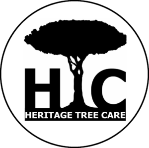 HTCCircleLogo